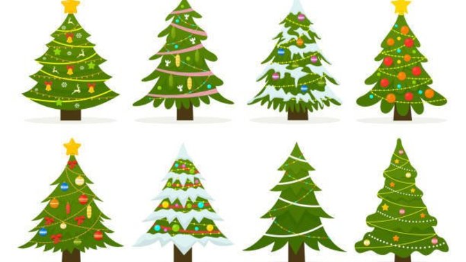 When do you take down your Christmas tree?