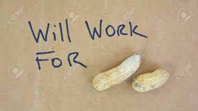 As of January 1, 2022 , how many of you are still not working ?