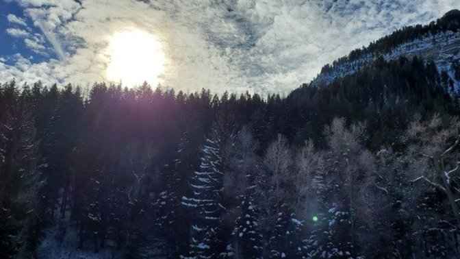 More Winter photos, do you think these are better than the last ones or about the same?