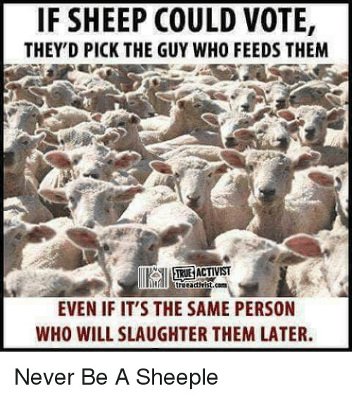 The only thing that has kept US from collapsing is that most Americans are stupid and believe the bullshit the govt tells them, yes or no?