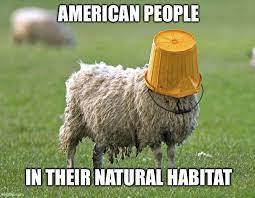 The only thing that has kept US from collapsing is that most Americans are stupid and believe the bullshit the govt tells them, yes or no?