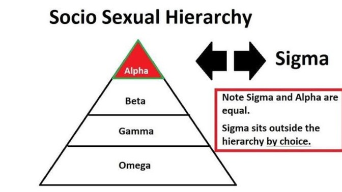 I am a sigma male.. what do you girls think of this personality type?