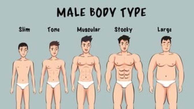 Girls, What body type is most attractive for a guy?