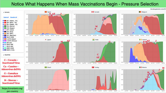 Good Grief!!! Why are so MANY vaccinated people Getting the Virus more than ever now?