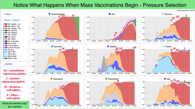 Good Grief!!! Why are so MANY vaccinated people Getting the Virus more than ever now?