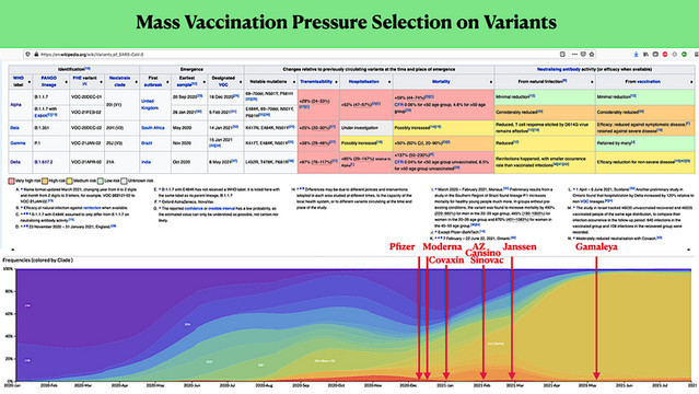 Good Grief!!! Why are so MANY vaccinated people Getting the Virus more than ever now?