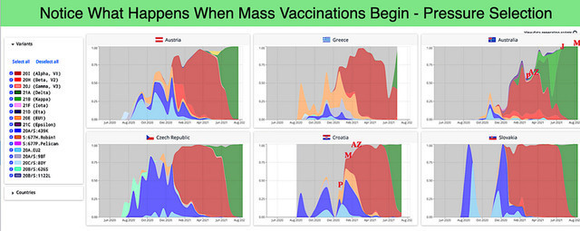 Good Grief!!! Why are so MANY vaccinated people Getting the Virus more than ever now?