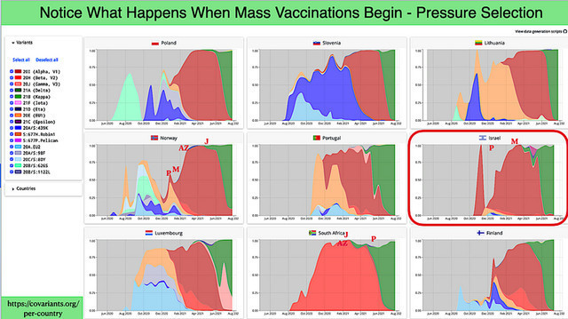 Good Grief!!! Why are so MANY vaccinated people Getting the Virus more than ever now?