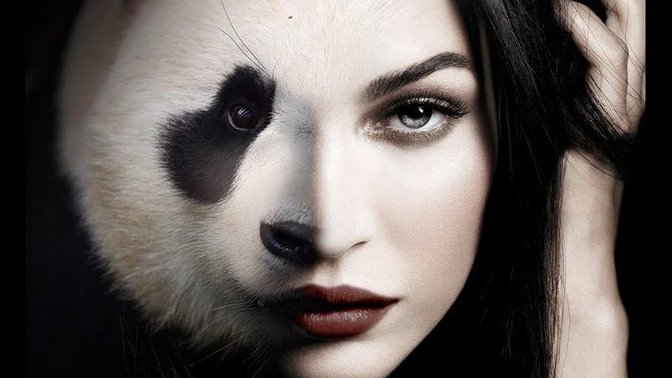 If you were an animal what animal would you be?