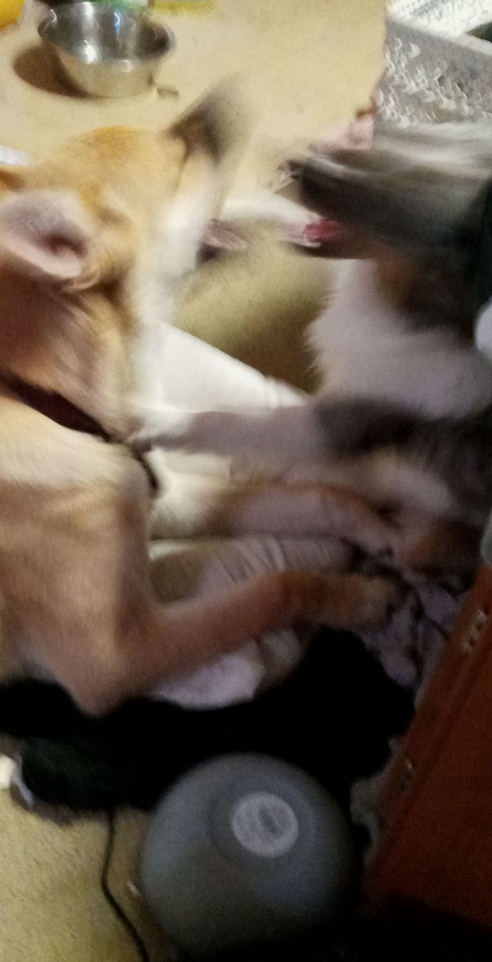 Does anyone else like when pictures are a little blurry?