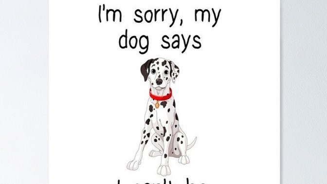 How come guys can't be my friend?