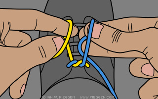 How do you tie your shoe laces?