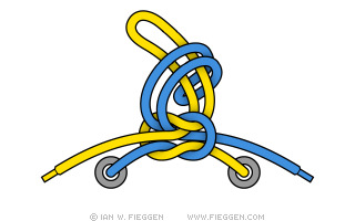 How do you tie your shoe laces?