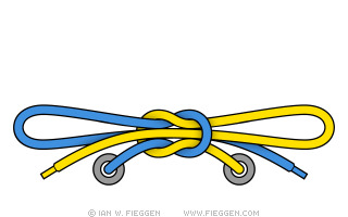 How do you tie your shoe laces?