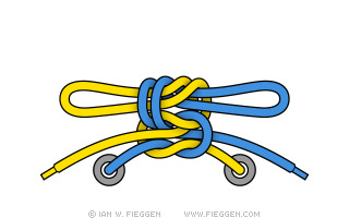 How do you tie your shoe laces?