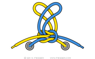 How do you tie your shoe laces?