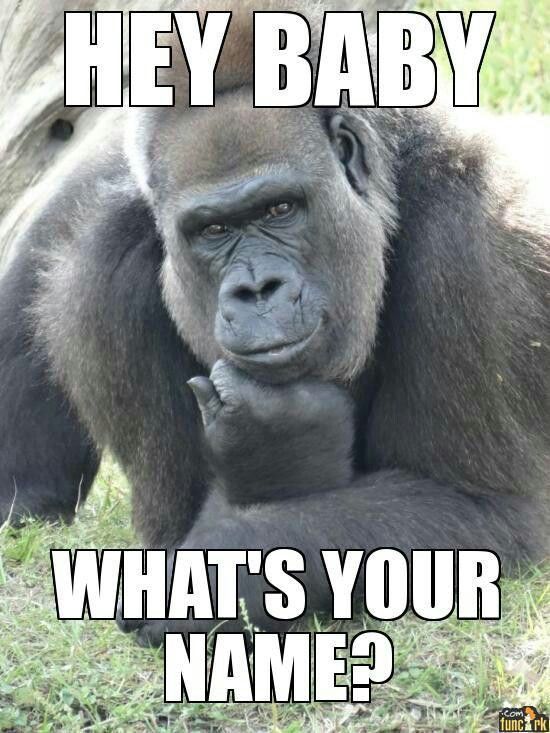A guy told me he shaves his chest and junk, is that a good reason to break it off with him?