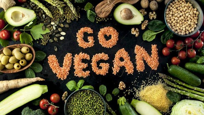 What do you think of veganism?