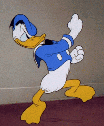 Donald Duck vs Daffy Duck, who would win in a fight?