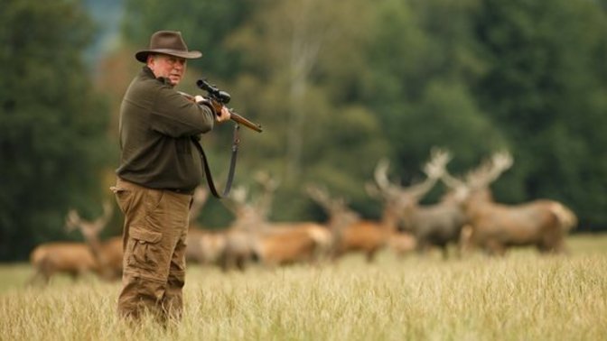 Which is better, farming your meat or hunting for your meat?