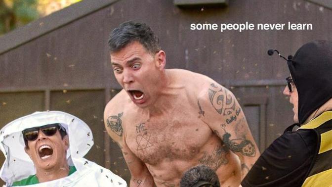 Girls, Did you or do you find the jackass franchise by MTV to be funny?