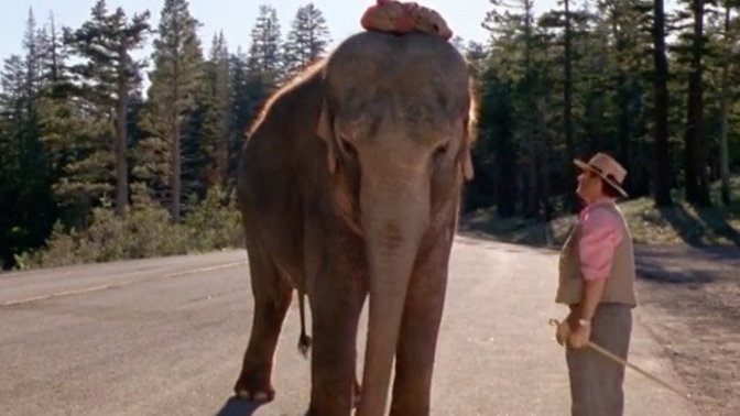 You’ve Been Given An Elephant. You Can’t Get Rid Of It. What Would You Do With It?