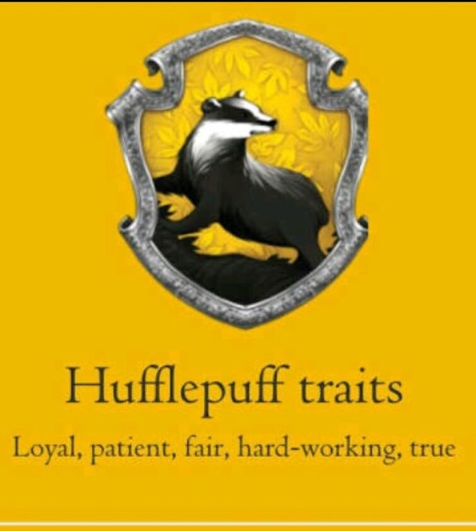 If You Were Invited To Attend Hogwarts, Which Hogwarts House Would You Choose?