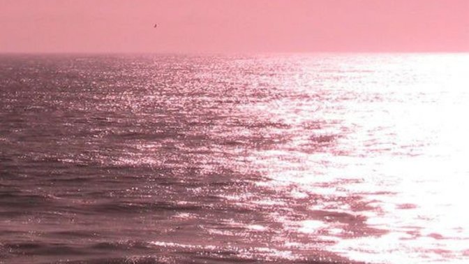 Here's my Merman rough draft story on Wattpad, what should I edit and how can I make the story better in your opinion?