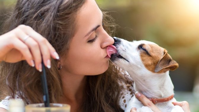 Are you someone who let's your pet lick your face?
