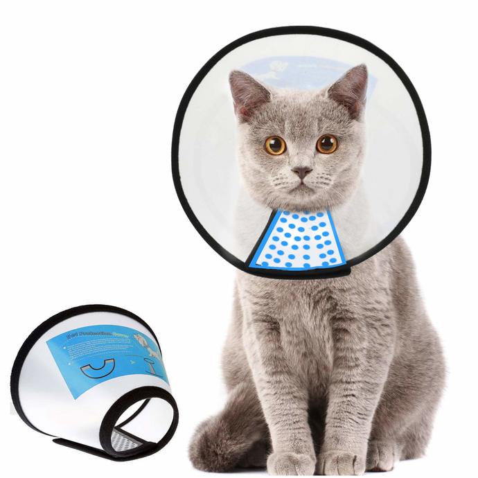 Can a cat feel depressed over the cone collar and how to help your cat