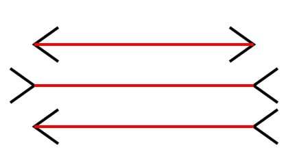 Which red line is longest?