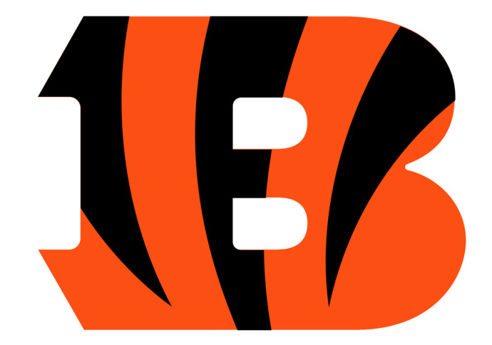 Which National Football League(NFL) team do you think has the LEAST likely chance to win in the Wild Card Round TODAY?