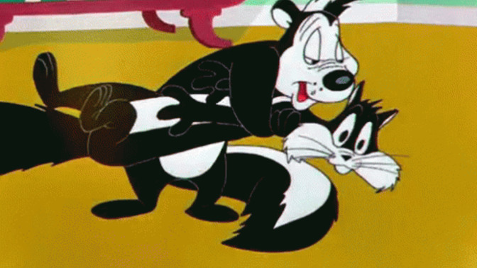 What would you do if YOU were the cat being chased by Pepe Le Pew?