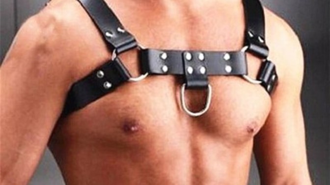 In your opinion is a type of fashion that best describes you?