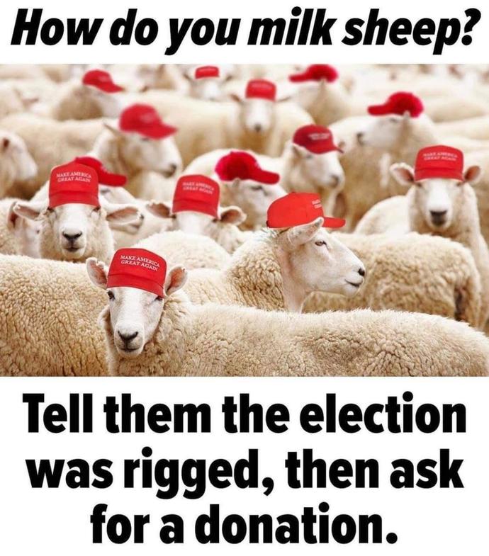 Who watched Trump in Arizona?
