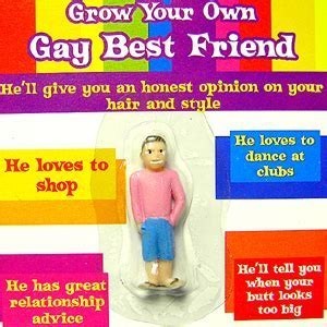 Girls, Do you have a gay best friend?