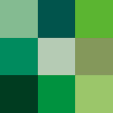 BEST COLOR OR FAVORITE COLOR?