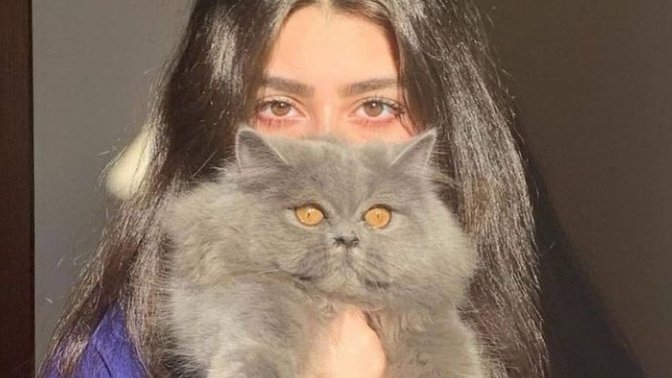 Do you like cats 🐈 or having cat?