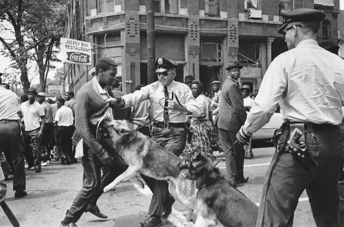 A police dog attacks a 17-year-old civil rights demonstrator in Birmingham, Ala., on May 3, 1963