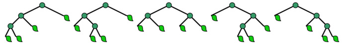 Which field of math is more aesthetically pleasing?