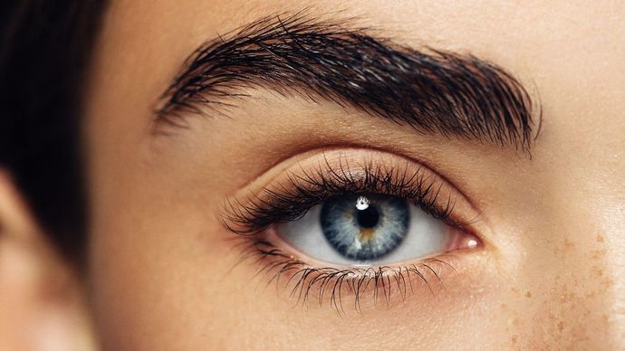 What do you notice first on a girls face/head?