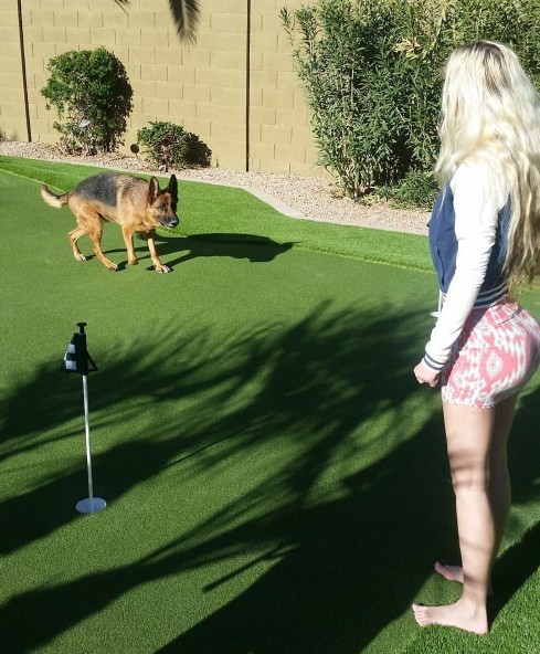 Does anyone else, NOT like dogs?
