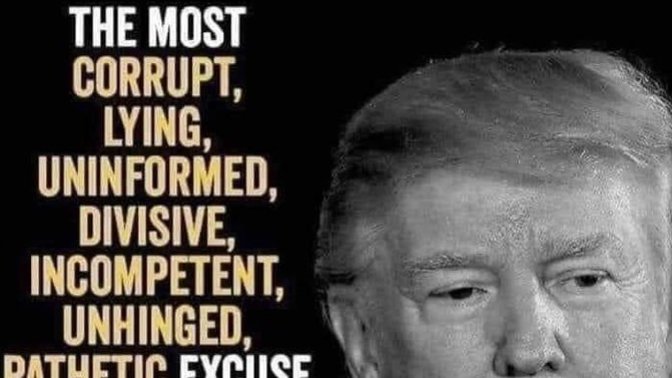 Who thinks the Trump Organisation has always been a corrupt crime syndicate?