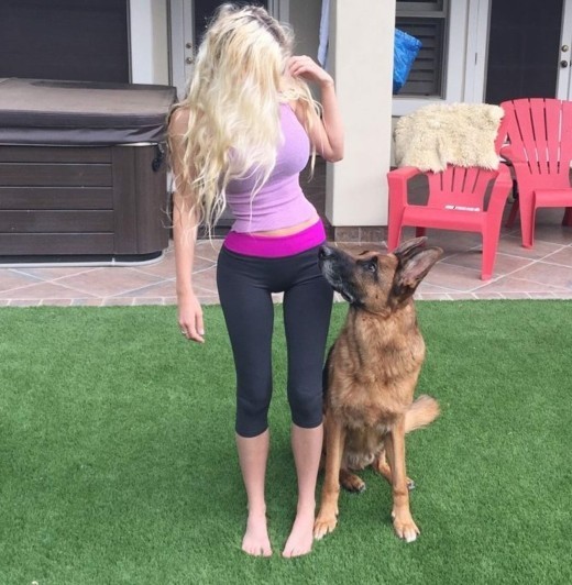 Do you have pet? Do they physically hurt you like mine did?