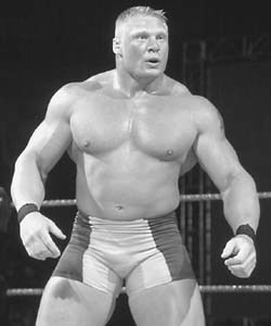 Who had a more built and powerful physique in fighting, Brock Lesnar or Mike Tyson?