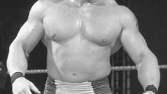 Who had a more built and powerful physique in fighting, Brock Lesnar or Mike Tyson?