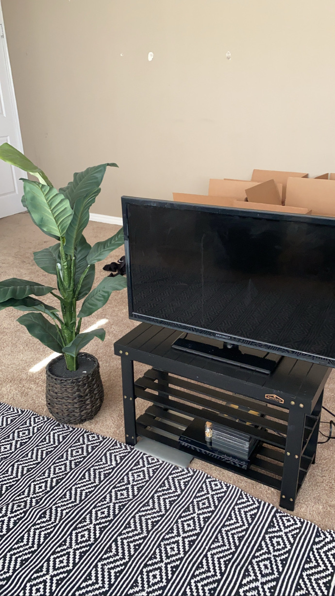 POLL- DO I KEEP THE RUG OR BUY A NEW RUG FOR MY STUDIO HOME HELP? IS THE RUG UGLY?