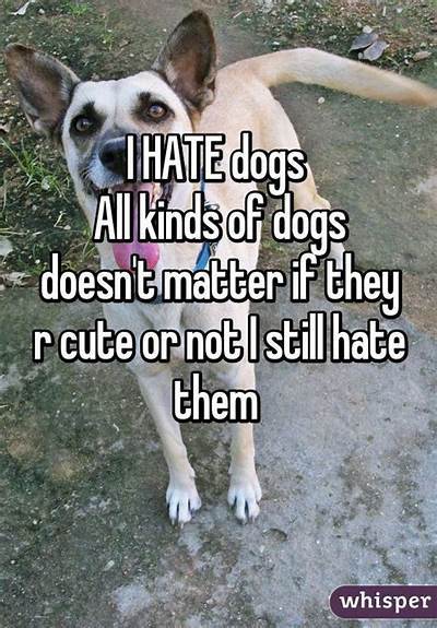 Which team are you on: cats or dogs?