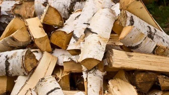 Why would you sell somebody green firewood in January?