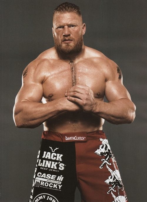 Is a physique possible with bulk muscle mass like Brock Lesnar attainable to build and maintain without any steroid?